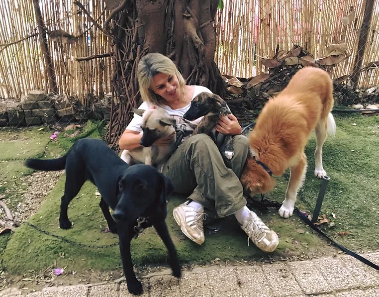 The S.O.S Pets association